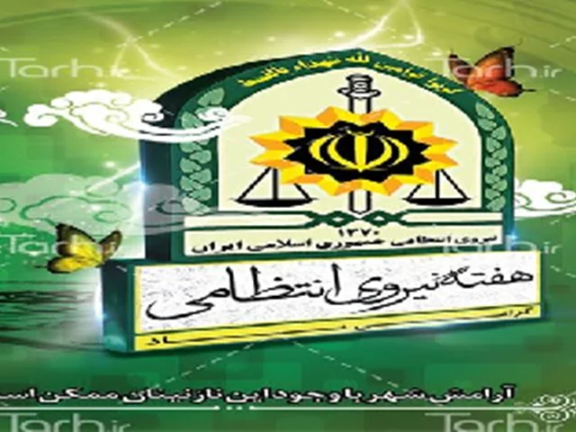 همایش موسسات حفاظتی و مراقبتی