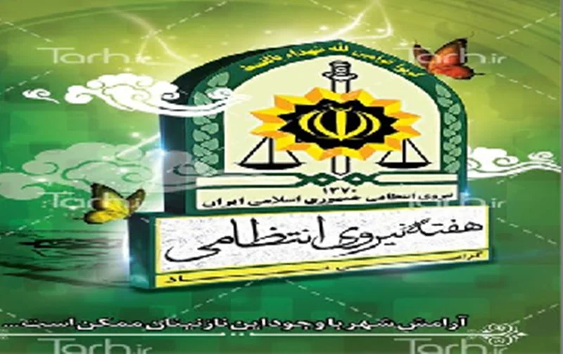 همایش موسسات حفاظتی و مراقبتی